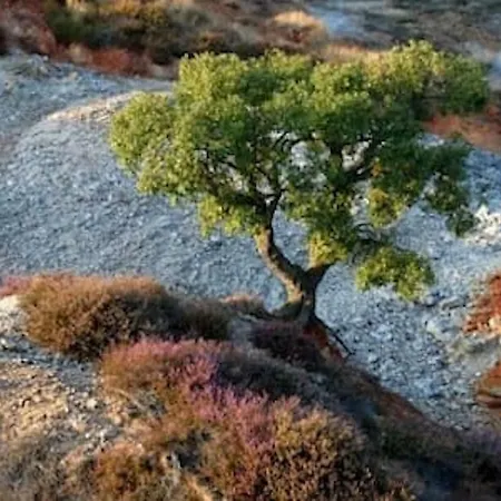 Σπίτι διακοπών Meravigliosamente Toscana